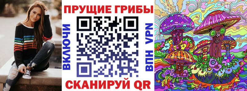OMG ссылки  купить закладку  Щёкино  Галлюциногенные грибы GOLDEN TEACHER 